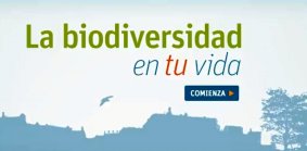 El vídeo presenta de manera gráfica y didáctica la importancia de preservar la biodiversidad en el medio ambiente urbano y los beneficios genera sobre nuestra salud, nuestra economía y el medio ambiente. 